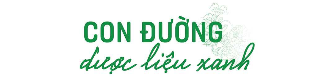 Dân vùng bãi làm thật ăn thật nhờ cây bìm bìm biếc - Ảnh 4. Dân vùng bãi làm thật ăn thật nhờ cây bìm bìm biếc - Ảnh 4.