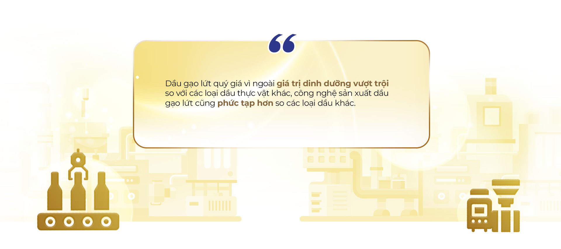 Hành trình từ hạt gạo nâu đến giọt dầu đặc biệt nuôi dưỡng trái tim - Ảnh 10. Hành trình từ hạt gạo nâu đến giọt dầu đặc biệt nuôi dưỡng trái tim - Ảnh 10.