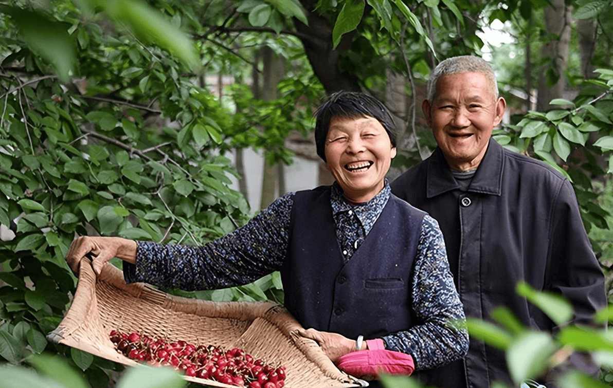 Bán nhà thành phố về quê nghỉ hưu, U75 than thở: Lương 35 triệu đồng/tháng vẫn sống chật vật vì 1 sai lầm - Ảnh 2. Bán nhà thành phố về quê nghỉ hưu, U75 than thở: Lương 35 triệu đồng/tháng vẫn sống chật vật vì 1 sai lầm - Ảnh 2.
