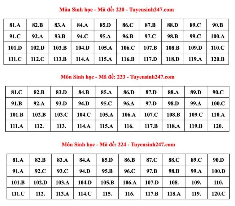 Đáp án tham khảo môn Sinh học tốt nghiệp THPT năm 2024 - mã đề 220, 223, 224 (tiếp tục cập nhật). Ảnh: Tuyensinh247