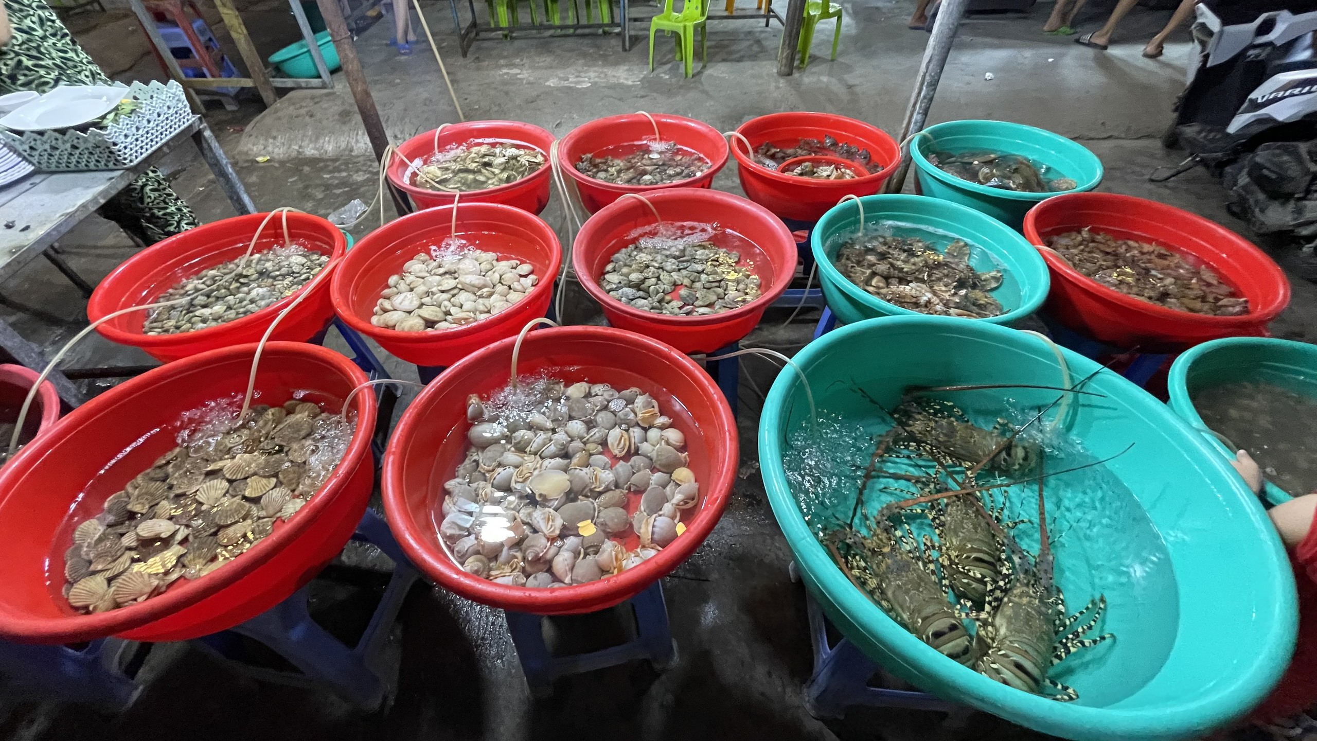 Khám phá vẻ đẹp bình yên Cù Lao Chàm - Ảnh 14. Khám phá vẻ đẹp bình yên Cù Lao Chàm - Ảnh 14.