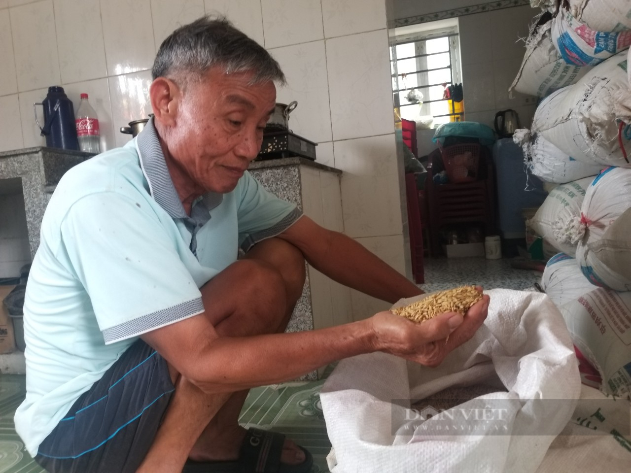 Lúa còn thơm trên đồng, thương lái đã đến tận ruộng đặt tiền mua, nông dân Ninh Bình đợi máy gặt về rồi thu tiền- Ảnh 3. Lúa còn thơm trên đồng, thương lái đã đến tận ruộng đặt tiền mua, nông dân Ninh Bình đợi máy gặt về rồi thu tiền- Ảnh 3.