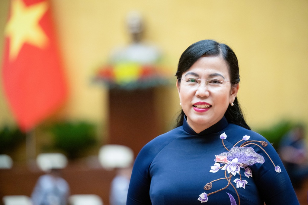Bổ nhiệm bà Nguyễn Thanh Hải làm Trưởng Ban Công tác đại biểu - 1 Bổ nhiệm bà Nguyễn Thanh Hải làm Trưởng Ban Công tác đại biểu - 1
