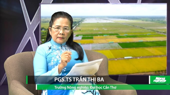 bo-tro-khoa-hoc-cong-nghe-hien-dai-hoa-san-xuat-nong-nghiep-huu-co-120309_485.jpg PGS. TS Trần Thị Ba chia sẻ tại Tọa đàm 'Chuyển đổi sang nông nghiệp hữu cơ cần thêm sự trợ lực' do Báo Nông nghiệp Việt Nam thực hiện. Ảnh: Kim Anh.