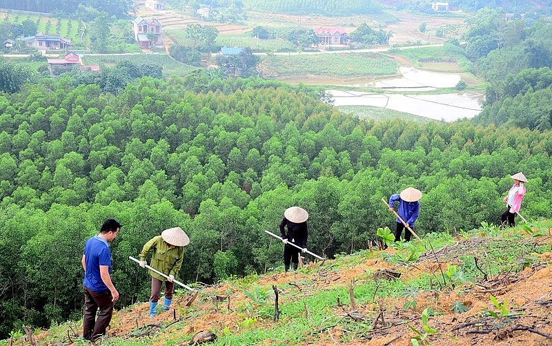 Thống kê cho thấy, 70% diện tích đất nông nghiệp của Việt Nam nằm trên địa hình đồi núi dốc nên dễ bị xói mòn, rửa trôi dẫn đến mất các chất dinh dưỡng, đất thường chua, nghèo mùn và các chất dinh dưỡng Thống kê cho thấy, 70% diện tích đất nông nghiệp của Việt Nam nằm trên địa hình đồi núi dốc nên dễ bị xói mòn, rửa trôi dẫn đến mất các chất dinh dưỡng, đất thường chua, nghèo mùn và các chất dinh dưỡng