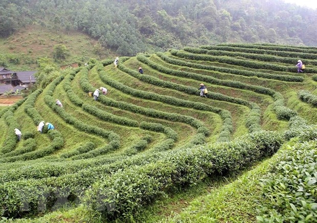 cần rà soát, xây dựng các chính sách cụ thể để hỗ trợ thực hiện các biện pháp cải tạo đất, thực hiện chuyển dịch cơ cấu trong sản xuất nông nghiệp, phát triển nhanh hoạt động dịch vụ nông nghiệp cần rà soát, xây dựng các chính sách cụ thể để hỗ trợ thực hiện các biện pháp cải tạo đất, thực hiện chuyển dịch cơ cấu trong sản xuất nông nghiệp, phát triển nhanh hoạt động dịch vụ nông nghiệp