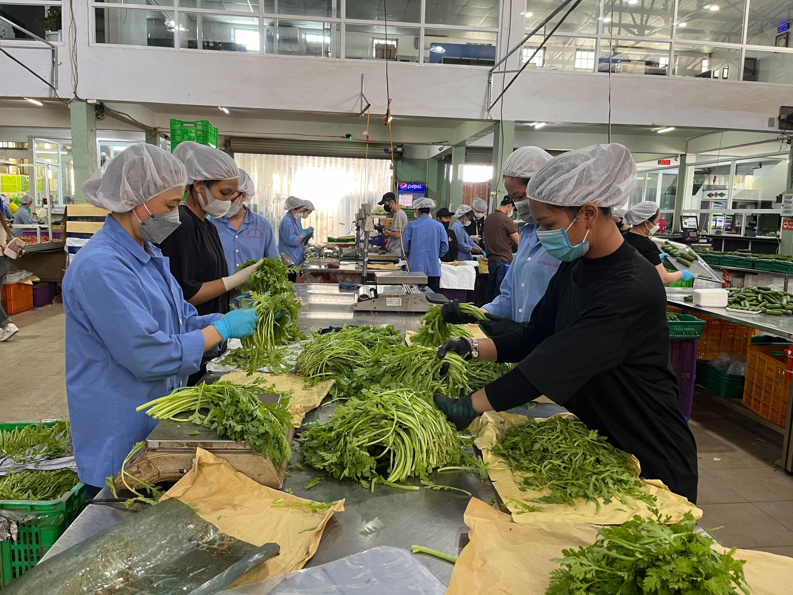 TP HCM sẽ tăng cường các giải pháp kiểm soát chất lượng thực phẩm TP HCM sẽ tăng cường các giải pháp kiểm soát chất lượng thực phẩm