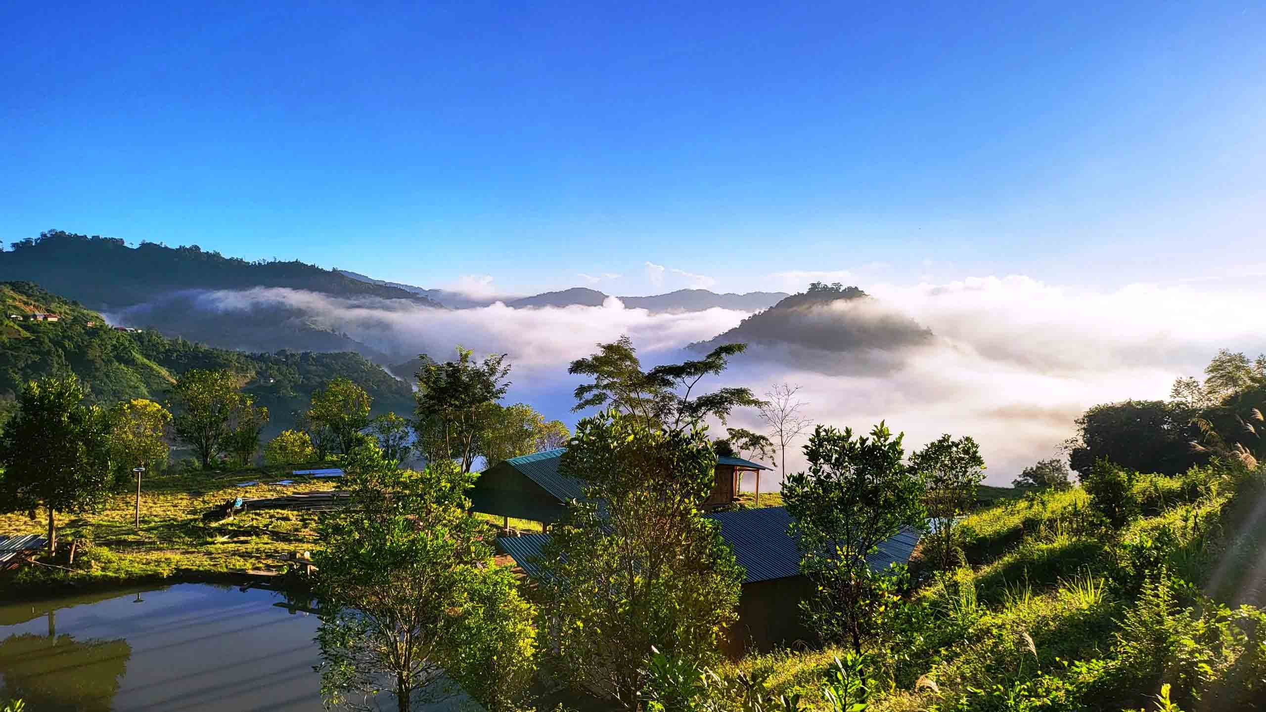 Đại ngàn vẫy gọi- Ảnh 1. Đại ngàn vẫy gọi- Ảnh 1.