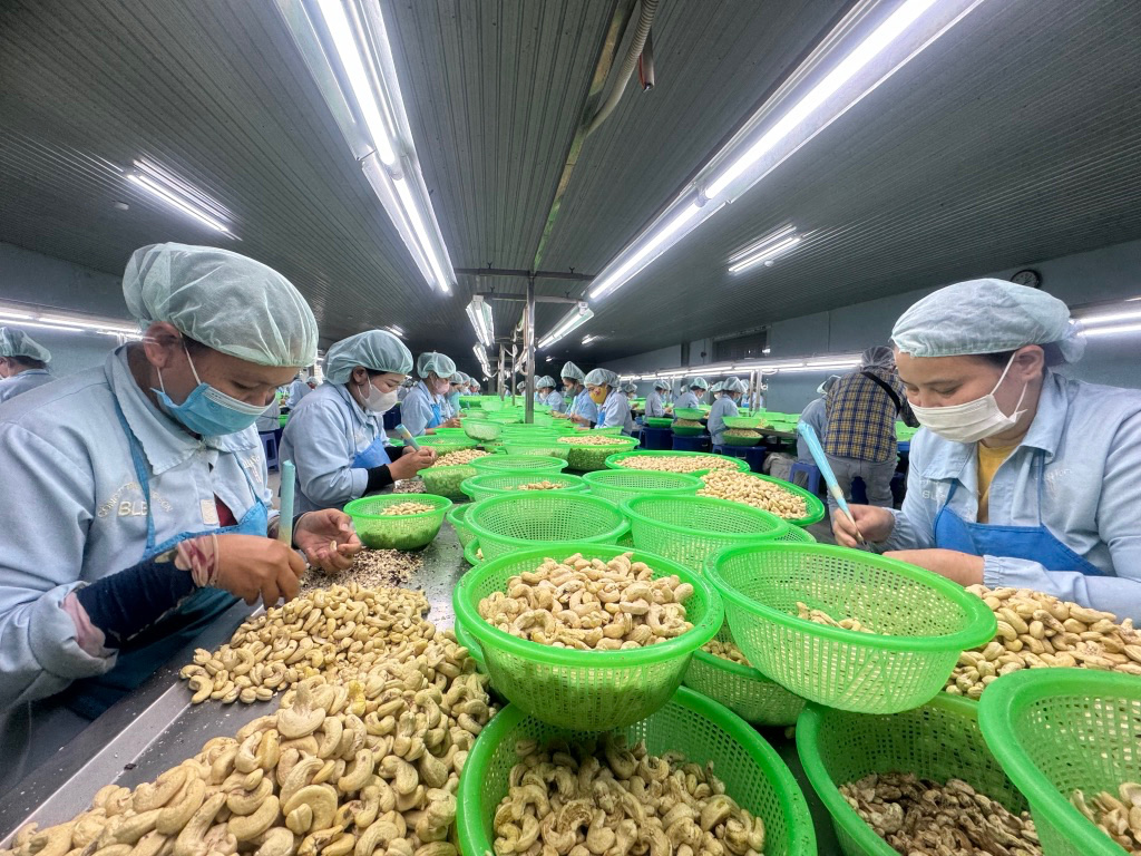Doanh nghiệp điều khốn khổ vì đối tác ngoại xù hợp đồng- Ảnh 1. Doanh nghiệp điều khốn khổ vì đối tác ngoại xù hợp đồng- Ảnh 1.