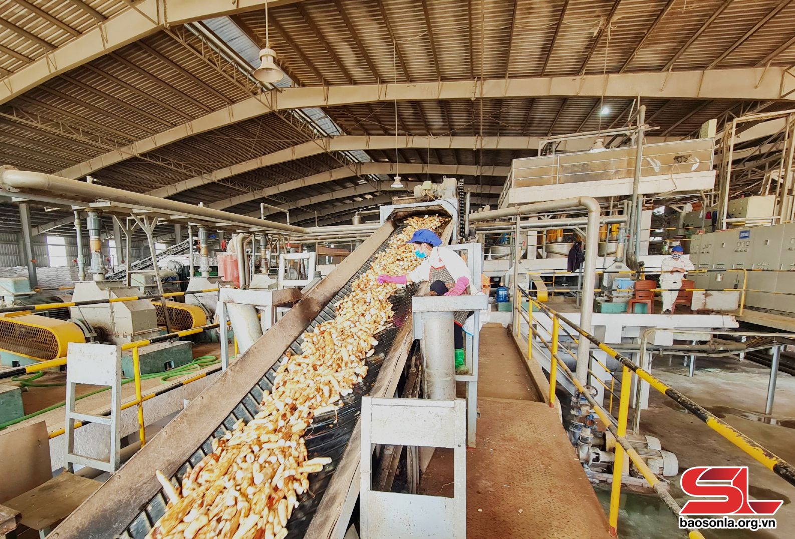Doanh nhân Trung Quốc đang khảo giá mua một loại tinh bột của Việt Nam nhưng trả giá hơi thấp- Ảnh 1. Doanh nhân Trung Quốc đang khảo giá mua một loại tinh bột của Việt Nam nhưng trả giá hơi thấp- Ảnh 1.