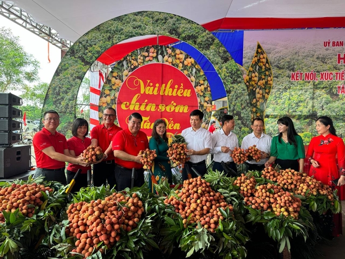 2-ban-lanh-dao-tap-doan-central-retail-truc-tiep-tham-gia-xuc-tien-tieu-thu-vai-thieu-tan-yen-151007_892.jpg Ban lãnh đạo Tập đoàn Central Retail trực tiếp tham gia xúc tiến tiêu thụ vải thiều Tân Yên, Bắc Giang.