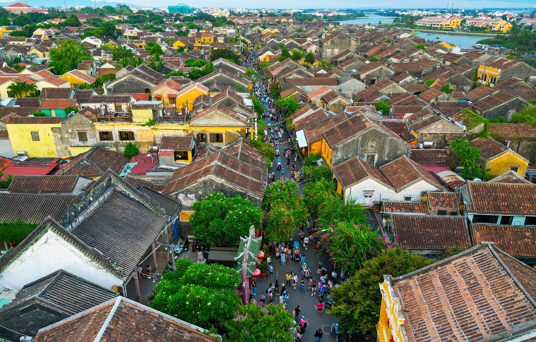 Cận cảnh con đường dài 1km ở Hội An vừa lọt top đẹp nhất thế giới