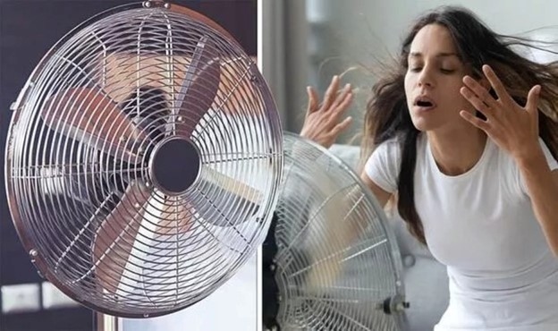 Giật mình với những thói quen dùng quạt đang "bào mòn" sức khỏe bạn mỗi ngày - Ảnh 1. Giật mình với những thói quen dùng quạt đang "bào mòn" sức khỏe bạn mỗi ngày - Ảnh 1.