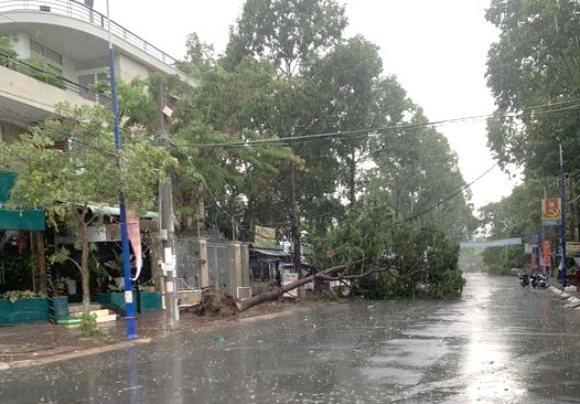 Giông lốc làm tốc mái 70 căn nhà tại An Giang- Ảnh 2. Giông lốc làm tốc mái 70 căn nhà tại An Giang- Ảnh 2.