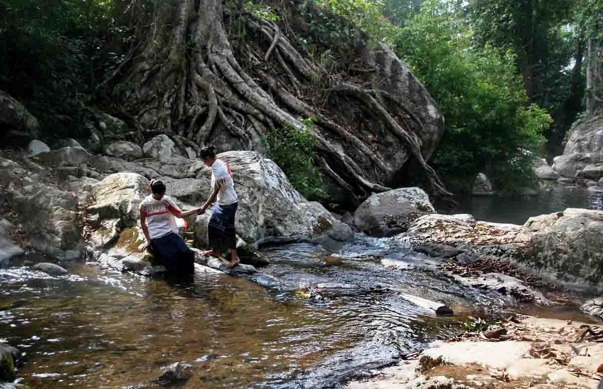 Vô một khu rừng nguyên sinh ở Lâm Đồng có ngọn thác tuôn đầy nước, tên là thác nước kêu, nghe bất ngờ- Ảnh 1. Vô một khu rừng nguyên sinh ở Lâm Đồng có ngọn thác tuôn đầy nước, tên là thác nước kêu, nghe bất ngờ- Ảnh 1.
