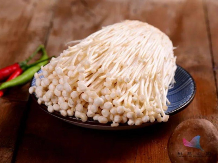 Loại nấm đốt cháy mỡ thừa, ngăn ngừa tiểu đường cực nhạy, chợ Việt bán nhiều - Ảnh 1. Loại nấm đốt cháy mỡ thừa, ngăn ngừa tiểu đường cực nhạy, chợ Việt bán nhiều - Ảnh 1.