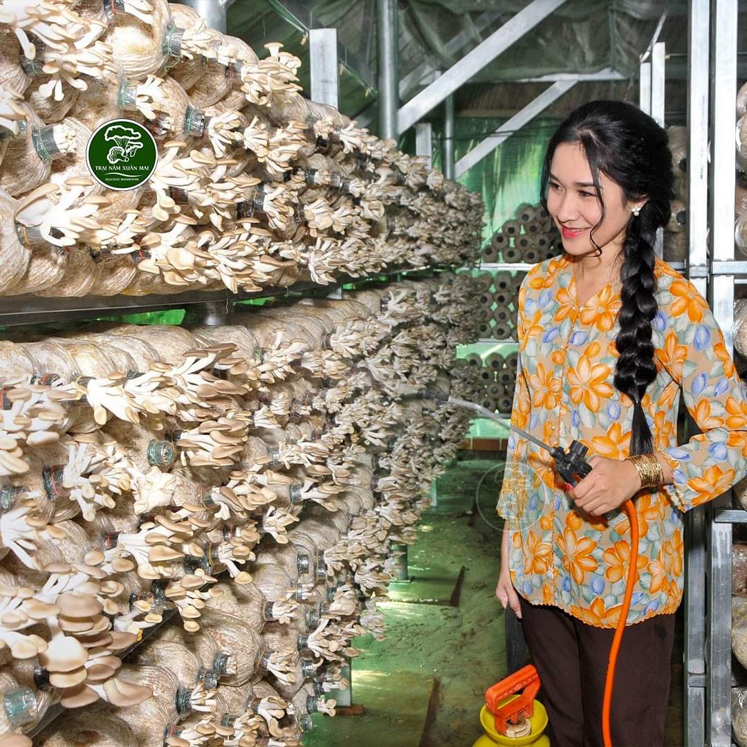 Mê ăn nấm, cô gái Bến Tre làm luôn nhà trồng nấm để khởi nghiệp- Ảnh 1. Mê ăn nấm, cô gái Bến Tre làm luôn nhà trồng nấm để khởi nghiệp- Ảnh 1.