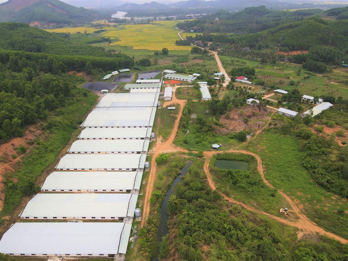 Một doanh nghiệp Việt Nam lọt Top 40 công ty chăn nuôi lợn lớn nhất thế giới năm 2024- Ảnh 3. Một doanh nghiệp Việt Nam lọt Top 40 công ty chăn nuôi lợn lớn nhất thế giới năm 2024- Ảnh 3.