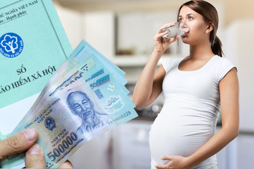Công ty chuyển trụ sở thì nộp hồ sơ thai sản của nhân viên ở đâu? - 1 Công ty chuyển trụ sở thì nộp hồ sơ thai sản của nhân viên ở đâu? - 1