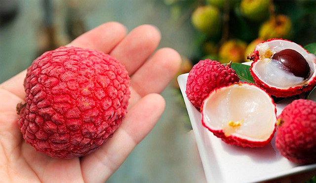 Người bệnh tiểu đường không cần kiêng ăn vải, ăn theo cách này để tăng miễn dịch và ngừa biến chứng tiểu đường - Ảnh 2. Người bệnh tiểu đường không cần kiêng ăn vải, ăn theo cách này để tăng miễn dịch và ngừa biến chứng tiểu đường - Ảnh 2.