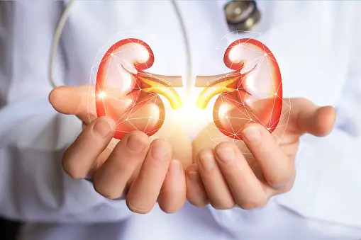 Thực phẩm hàng đầu 'cứu' quả thận- Ảnh 1. Thực phẩm hàng đầu 'cứu' quả thận- Ảnh 1.