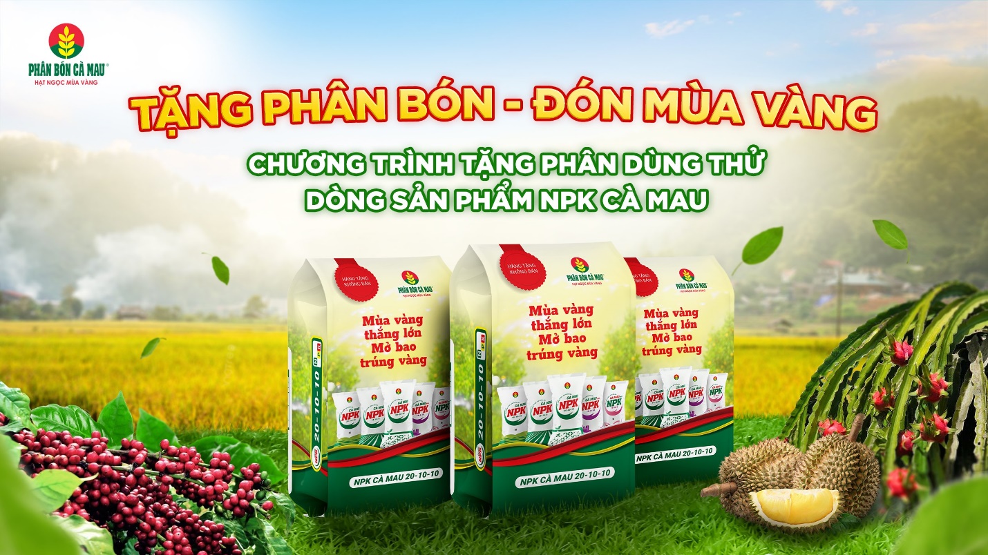 Phân bón Cà Mau đồng hành cùng nông dân: Tặng phân bón, đón mùa vàng- Ảnh 1. Phân bón Cà Mau đồng hành cùng nông dân: Tặng phân bón, đón mùa vàng- Ảnh 1.
