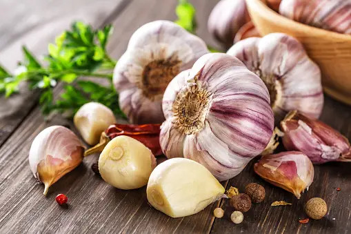 Ngày mới với tin tức sức khỏe: Thêm lợi ích tuyệt vời của tỏi- Ảnh 1. Ngày mới với tin tức sức khỏe: Thêm lợi ích tuyệt vời của tỏi- Ảnh 1.