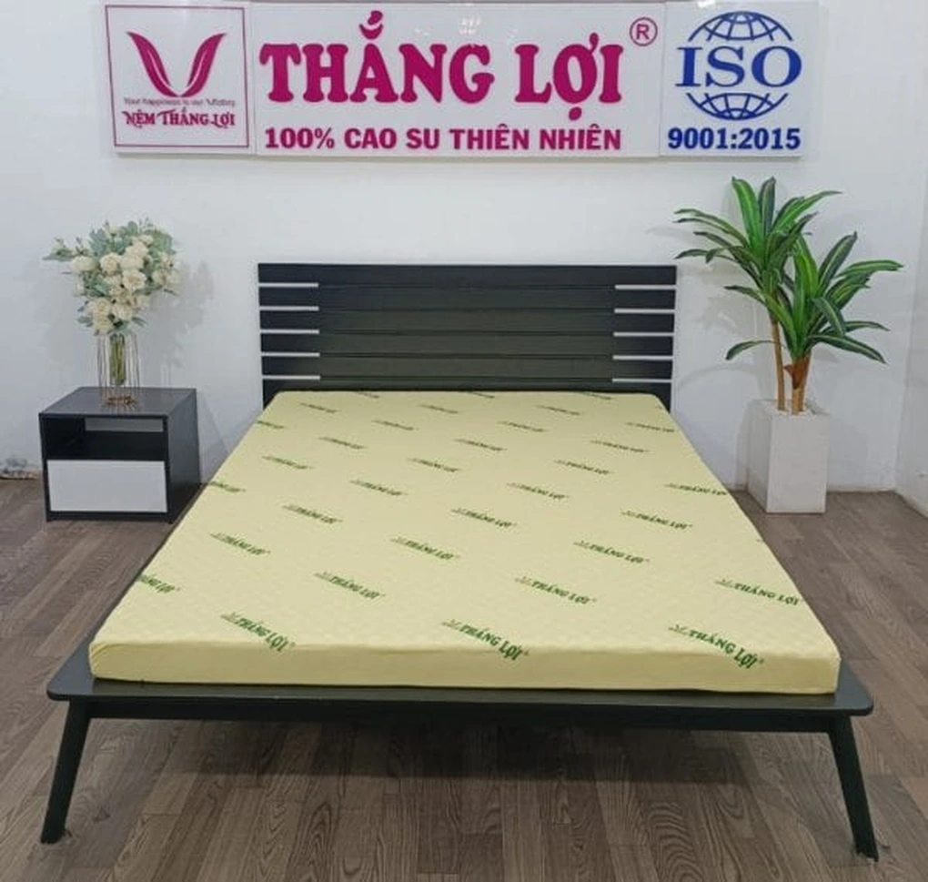 Top 3 popular Thang Loi latex mattresses today Vietnam.vn