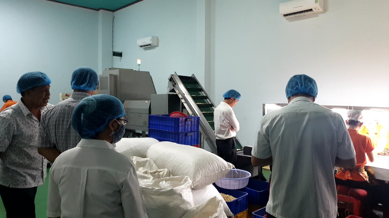 Bình Thuận: Truy nguyên nhân vụ 51 khách du lịch bị ngộ độc thực phẩm- Ảnh 1. Bình Thuận: Truy nguyên nhân vụ 51 khách du lịch bị ngộ độc thực phẩm- Ảnh 1.