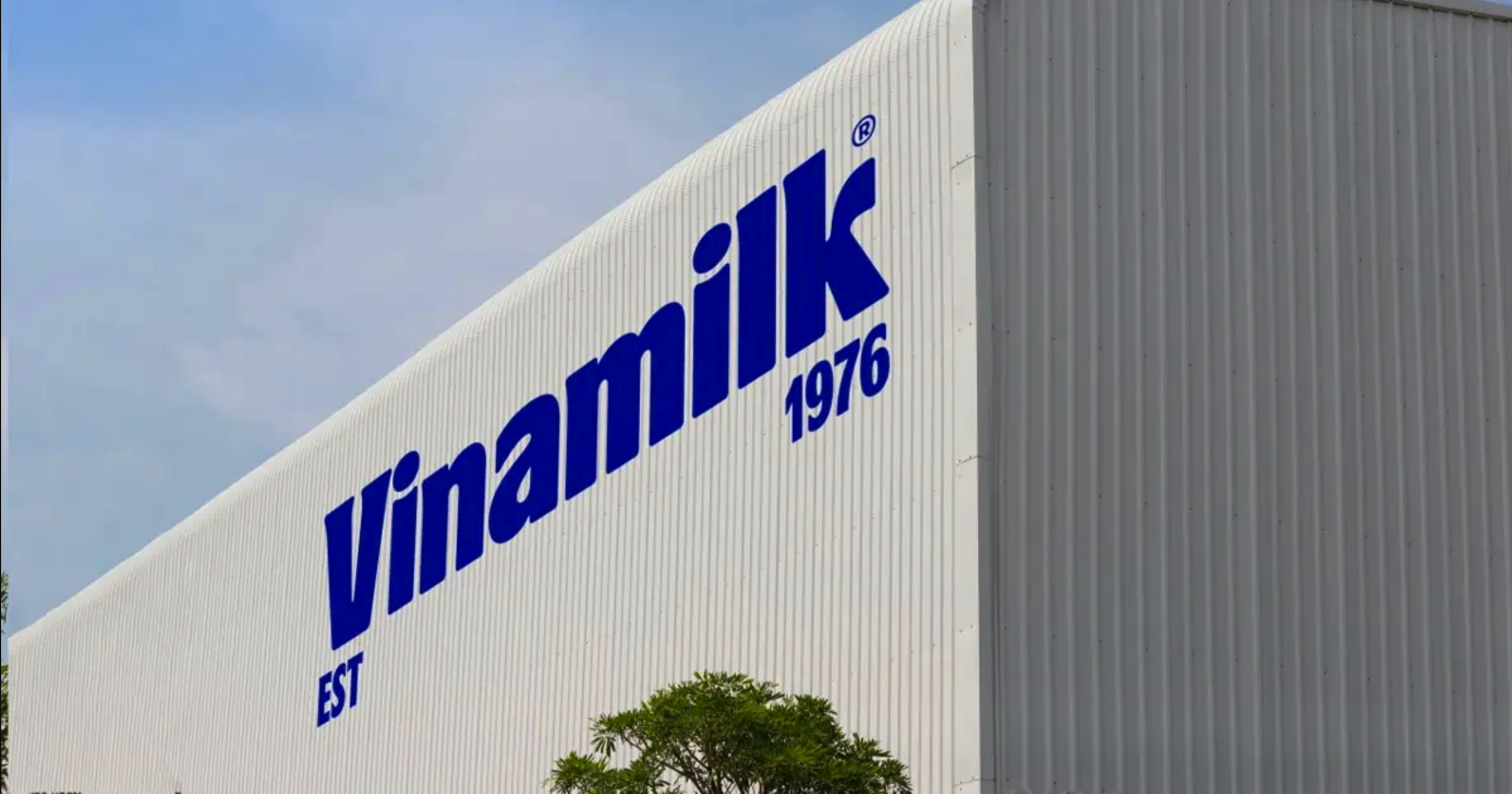 Vinamilk góp mặt trong danh sách lần đầu công bố của Fortune cho khu vực ASEAN- Ảnh 1. Vinamilk góp mặt trong danh sách lần đầu công bố của Fortune cho khu vực ASEAN- Ảnh 1.