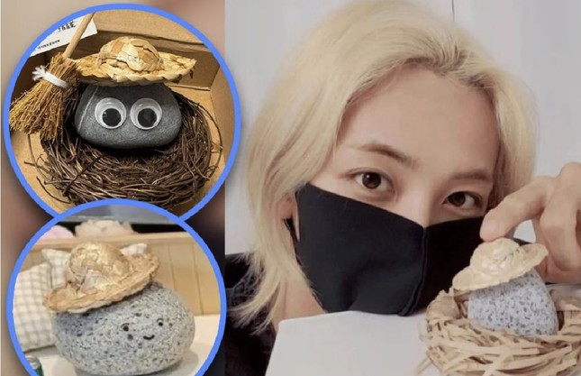 Xu hướng nuôi 'đá cưng' kỳ lạ của thanh niên Hàn Quốc - Ảnh 1. Xu hướng nuôi 'đá cưng' kỳ lạ của thanh niên Hàn Quốc - Ảnh 1.