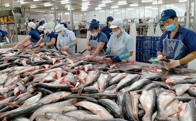 Xuất khẩu cá tra dần khởi sắc, lợi nhuận của Vĩnh Hoàn sẽ cải thiện mạnh?- Ảnh 1. Xuất khẩu cá tra dần khởi sắc, lợi nhuận của Vĩnh Hoàn sẽ cải thiện mạnh?- Ảnh 1.