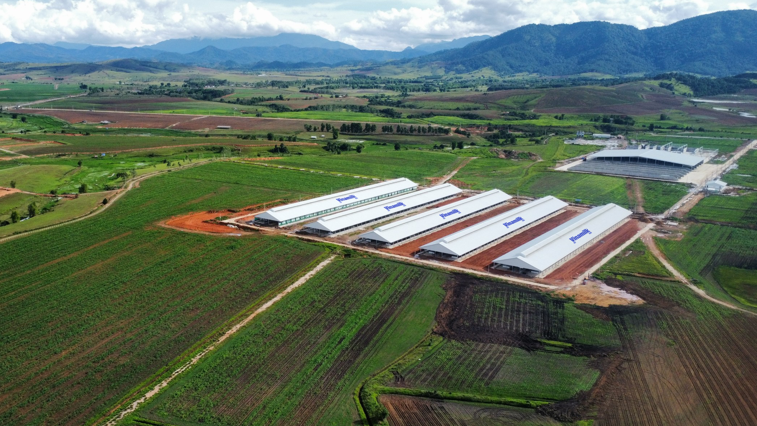 Vinamilk - Doanh nghiệp duy nhất của ngành sữa Việt Nam trong danh sách Fortune 500 Đông Nam Á- Ảnh 3. Vinamilk - Doanh nghiệp duy nhất của ngành sữa Việt Nam trong danh sách Fortune 500 Đông Nam Á- Ảnh 3.