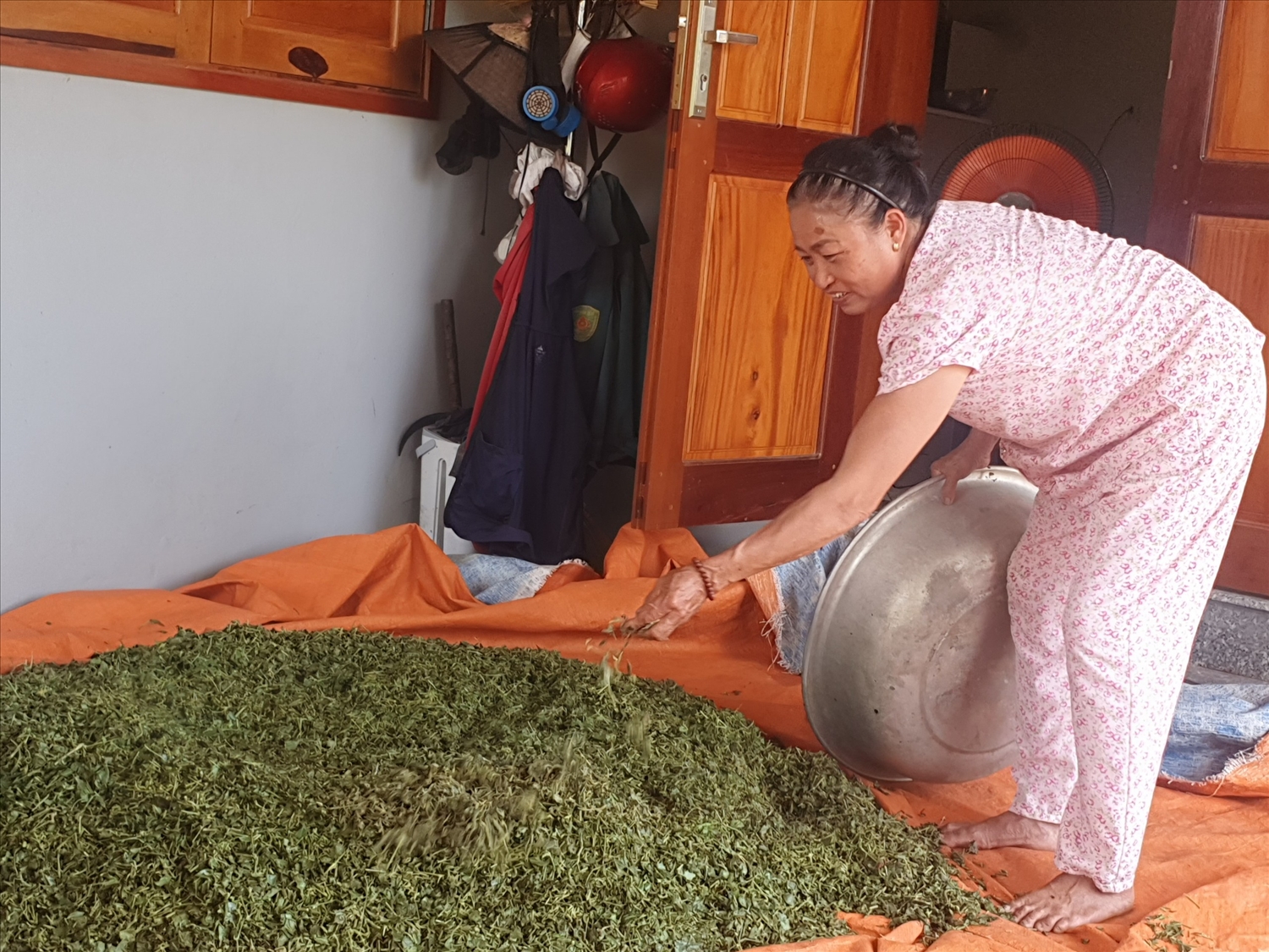 Vợ chồng bà Tuyên vươn lên phát triển kinh tế nhờ chè dây, cây ăn quả Vợ chồng bà Tuyên vươn lên phát triển kinh tế nhờ chè dây, cây ăn quả