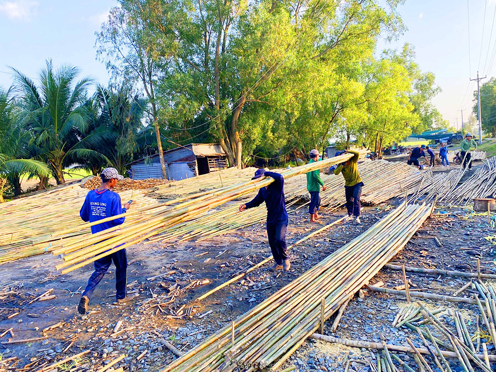 Chợ làng lạ lùng ở An Giang, trên bến dưới thuyền, tấp nập cả năm chỉ bán cây tầm vông thẳng tuột- Ảnh 6. Chợ làng lạ lùng ở An Giang, trên bến dưới thuyền, tấp nập cả năm chỉ bán cây tầm vông thẳng tuột- Ảnh 6.