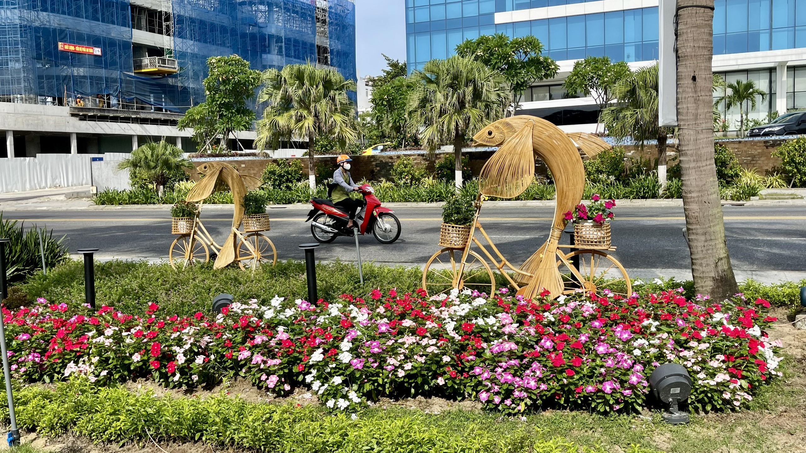 Đường hoa biển Đà Nẵng thành hình, du khách thích thú- Ảnh 5. Đường hoa biển Đà Nẵng thành hình, du khách thích thú- Ảnh 5.