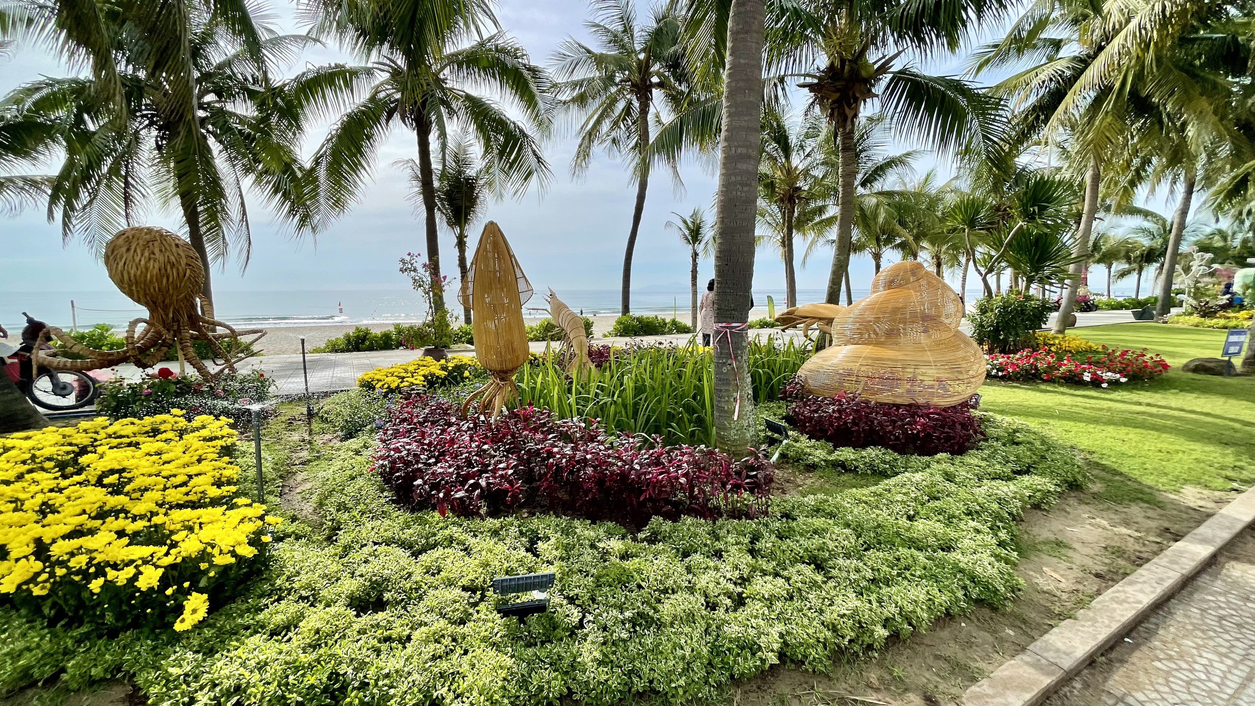 Đường hoa biển Đà Nẵng thành hình, du khách thích thú- Ảnh 10. Đường hoa biển Đà Nẵng thành hình, du khách thích thú- Ảnh 10.