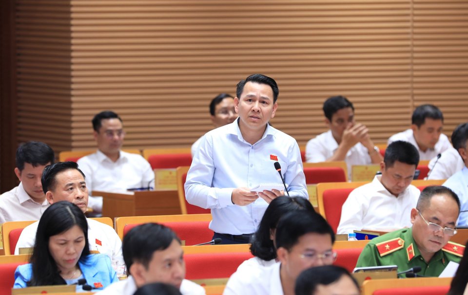 Đại biểu tham gia chất vấn