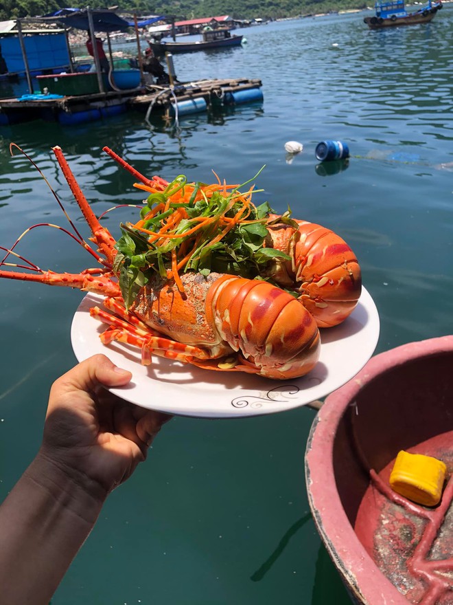 Mách nhỏ những nhà hàng bè nổi lấp đầy chiếc bụng đói khi du lịch Phú Yên- Ảnh 2. Mách nhỏ những nhà hàng bè nổi lấp đầy chiếc bụng đói khi du lịch Phú Yên- Ảnh 2.
