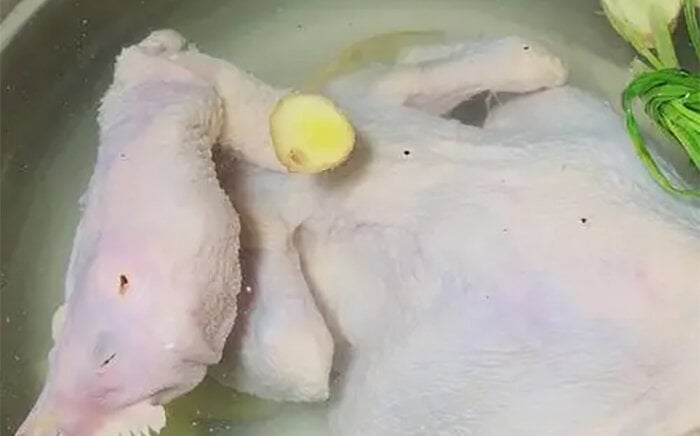 Luộc gà theo công thức 3 sôi 3 lạnh, thịt sẽ thơm ngon, da giòn, không nứt - Ảnh 3. Luộc gà theo công thức 3 sôi 3 lạnh, thịt sẽ thơm ngon, da giòn, không nứt - Ảnh 3.