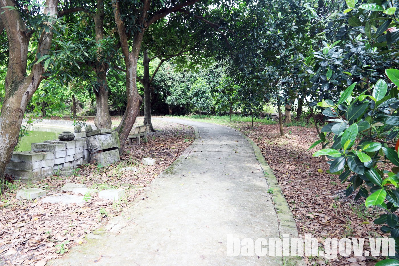 Cách đền Đô ở Bắc Ninh 2km là lăng vua Lý Thái Tổ, có ao bán nguyệt, cạnh đồng lúa, xưa là khu rừng- Ảnh 2. Cách đền Đô ở Bắc Ninh 2km là lăng vua Lý Thái Tổ, có ao bán nguyệt, cạnh đồng lúa, xưa là khu rừng- Ảnh 2.