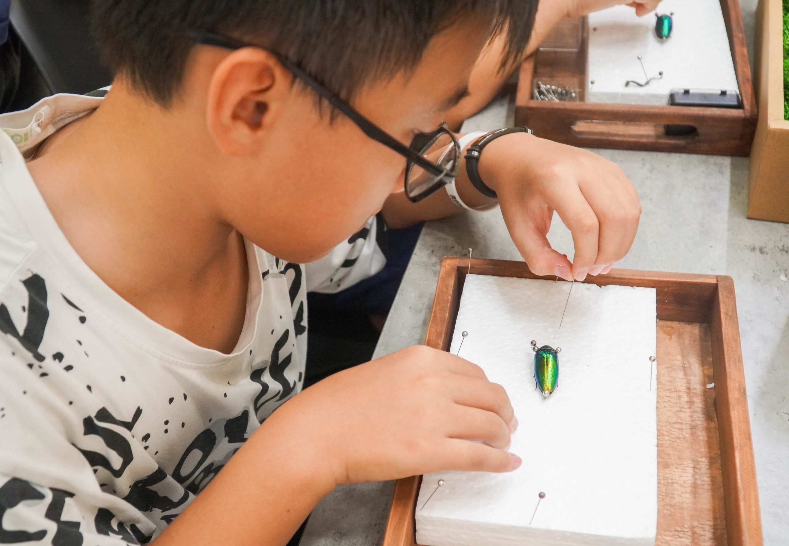 Sinh viên mở workshop làm tiêu bản, kết nối nhiều bạn bè quốc tế- Ảnh 3. Sinh viên mở workshop làm tiêu bản, kết nối nhiều bạn bè quốc tế- Ảnh 3.