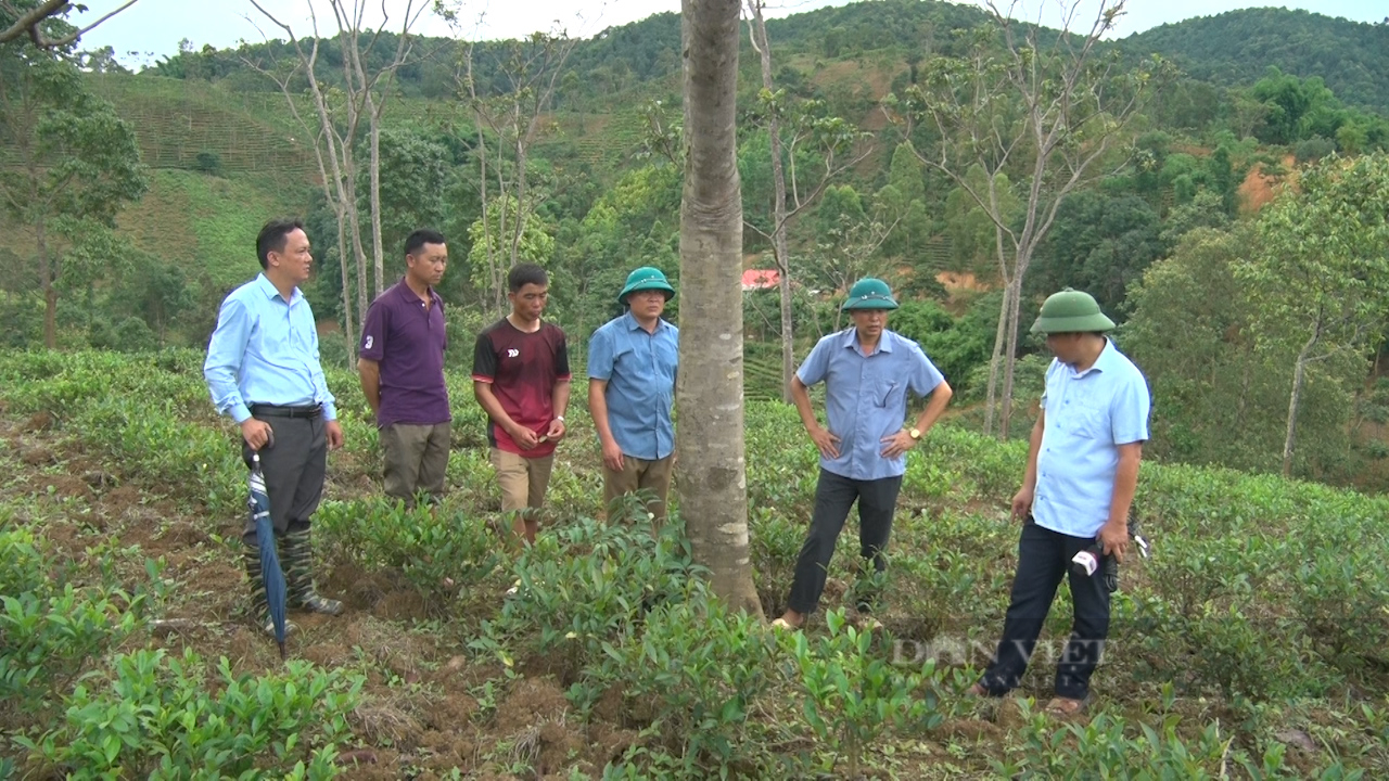 Thứ cây đặc sản Thứ cây đặc sản