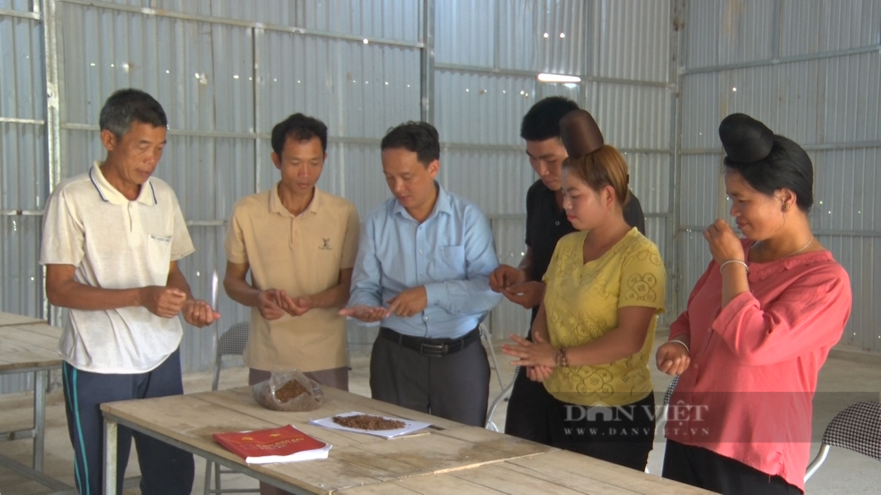 Thứ cây đặc sản Thứ cây đặc sản