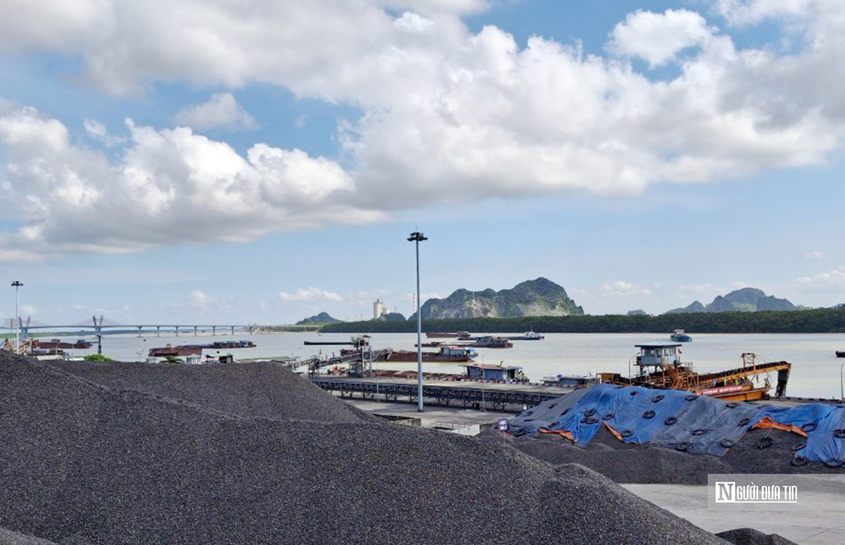 Quảng Ninh: Sớm thực hiện lại thủ tục thu hồi đất dự án cảng gần 400 tỷ- Ảnh 2. Quảng Ninh: Sớm thực hiện lại thủ tục thu hồi đất dự án cảng gần 400 tỷ- Ảnh 2.