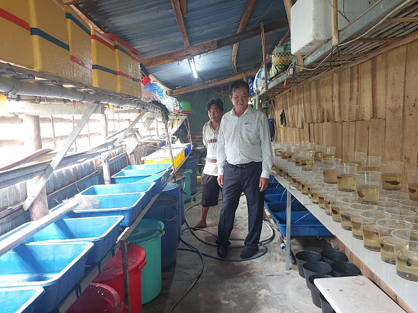 Nuôi lươn sinh sản ở Hậu Giang kiểu gì mà có nhiều người đang tới xem, trồng cả lúa tốt um?- Ảnh 3. Nuôi lươn sinh sản ở Hậu Giang kiểu gì mà có nhiều người đang tới xem, trồng cả lúa tốt um?- Ảnh 3.