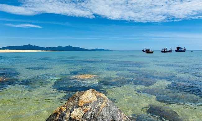 Người ta đang kéo đến đầm Trà Ổ đầm nước ngọt tự nhiên có cá chình mun đặc sản Bình Định- Ảnh 2. Người ta đang kéo đến đầm Trà Ổ đầm nước ngọt tự nhiên có cá chình mun đặc sản Bình Định- Ảnh 2.