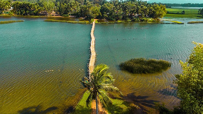 Người ta đang kéo đến đầm Trà Ổ đầm nước ngọt tự nhiên có cá chình mun đặc sản Bình Định- Ảnh 3. Người ta đang kéo đến đầm Trà Ổ đầm nước ngọt tự nhiên có cá chình mun đặc sản Bình Định- Ảnh 3.