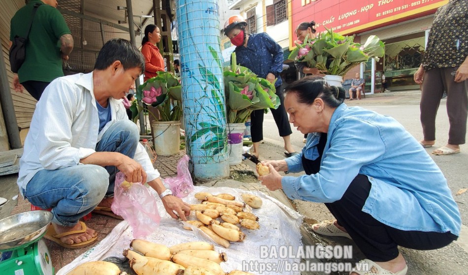 Củ sen là vựa chất chống oxy hóa, ở Hàn Quốc quý như sâm, giúp nông dân Lạng Sơn khá giả- Ảnh 10. Củ sen là vựa chất chống oxy hóa, ở Hàn Quốc quý như sâm, giúp nông dân Lạng Sơn khá giả- Ảnh 10.