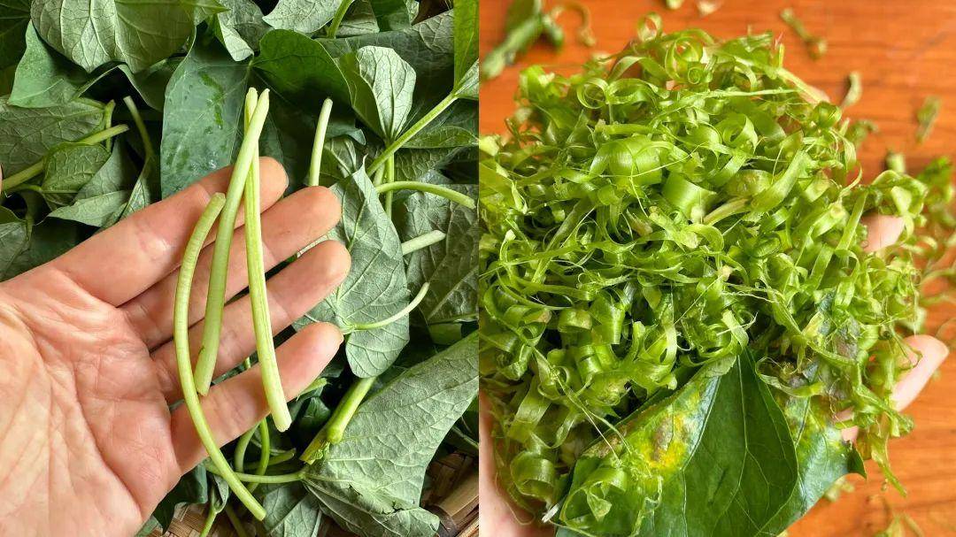 Trong tháng 6 Âm lịch hãy ăn mạnh loại "rau trường thọ" này, đừng luộc hay xào, mang chế biến kiểu này ăn ngon hơn - Ảnh 3. Trong tháng 6 Âm lịch hãy ăn mạnh loại "rau trường thọ" này, đừng luộc hay xào, mang chế biến kiểu này ăn ngon hơn - Ảnh 3.